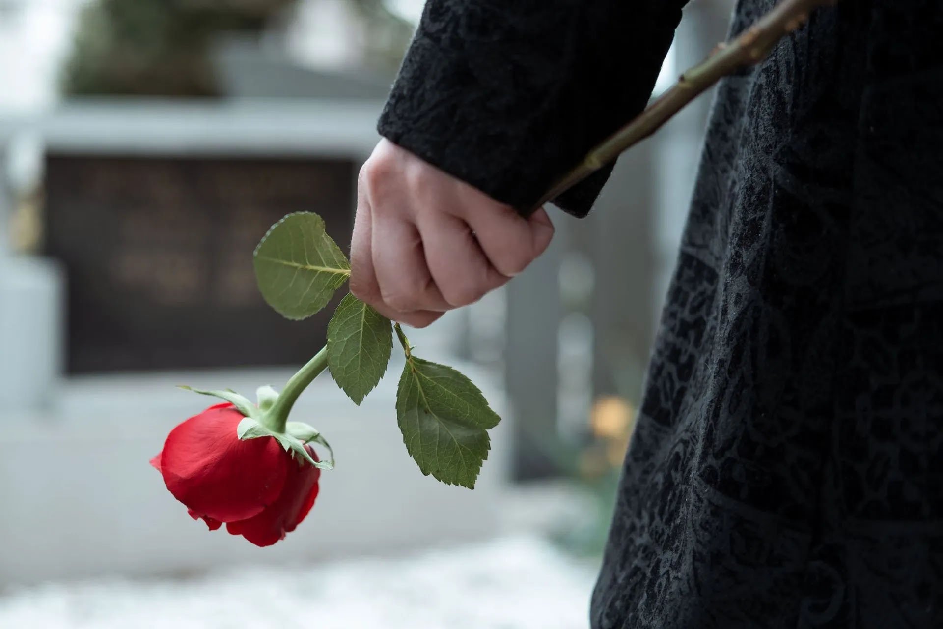 Woman at a cemetery with a red flower, illustrating the peace of mind that comes from a comprehensive estate plan review